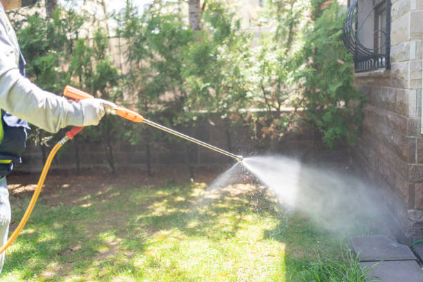 Best Insect Control  in Crestview, FL