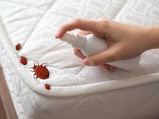 Best Best Pest Control Companies  in Crestview, FL